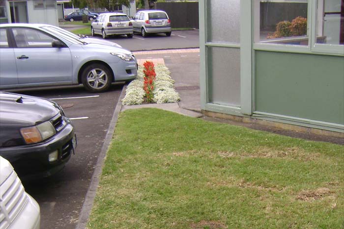 Before Gray Water Connecton