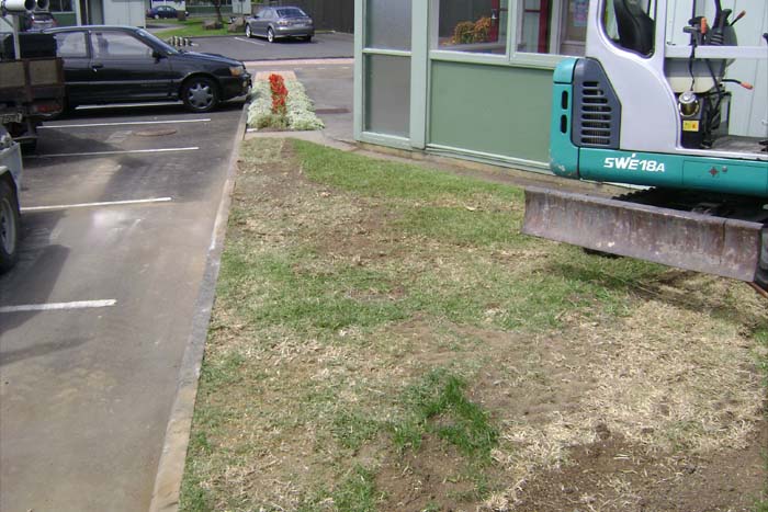 Reinstatement of Property