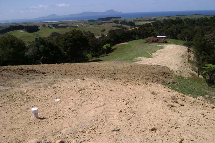 Property Reinstatement