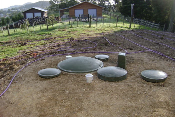 Property Reinstatment